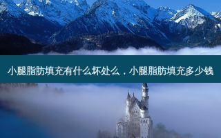 小腿脂肪填充有什么坏处么，小腿脂肪填充多少钱