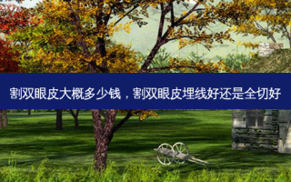 割双眼皮大概多少钱，割双眼皮埋线好还是全切好