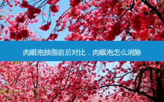 肉眼泡抽脂前后对比，肉眼泡怎么消除