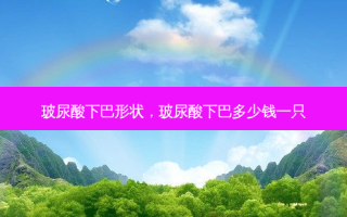 玻尿酸下巴形状，玻尿酸下巴多少钱一只