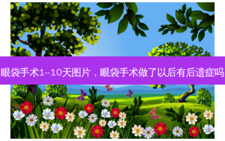 眼袋手术1--10天图片，眼袋手术做了以后有后遗症吗