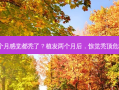 植发两个月感觉都秃了？植发两个月后，惊觉秃顶危机加剧！
