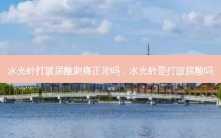水光针打玻尿酸刺痛正常吗，水光针是打玻尿酸吗