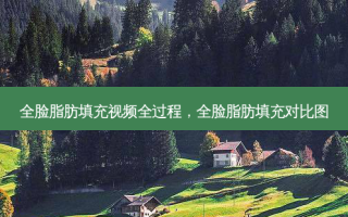 全脸脂肪填充视频全过程，全脸脂肪填充对比图