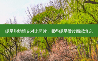 明星脂肪填充对比照片，哪些明星做过面部填充