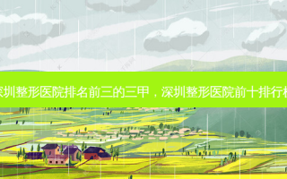深圳整形医院排名前三的三甲，深圳整形医院前十排行榜