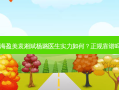上海盈美袁湘斌杨璐医生实力如何？正规靠谱吗？