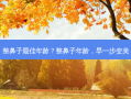 整鼻子佳年龄？整鼻子年龄，早一步变美
