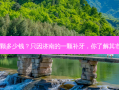济南补牙一颗多少钱？只因济南的一颗补牙，你了解其市场价值吗？