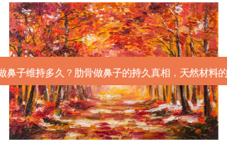 肋骨做鼻子维持多久？肋骨做鼻子的持久真相，天然材料的魔力!
