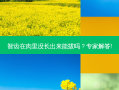 智齿在肉里没长出来能拔吗？专家解答!