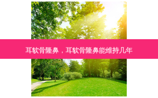 耳软骨隆鼻，耳软骨隆鼻能维持几年