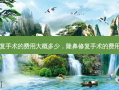 隆鼻修复手术的费用大概多少，隆鼻修复手术的费用是多少