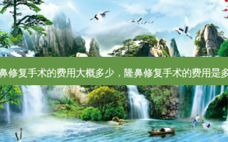 隆鼻修复手术的费用大概多少，隆鼻修复手术的费用是多少