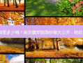 南京腹部抽脂要多少钱？南京腹部抽脂价格大公开，轻松拥有小蛮腰！