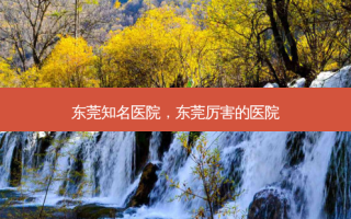 东莞知名医院，东莞厉害的医院