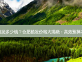 合肥植发多少钱？合肥植发价格大揭晓：高效预算内选择